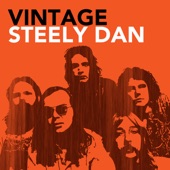 Vintage Steely Dan artwork