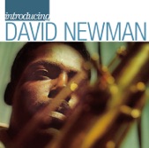 David "Fathead" Newman - Night of Nisan