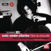 Arpeggione Sonata in A Minor: Allegretto artwork