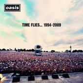 Time Flies... 1994-2009 (Deluxe Audio Version) artwork