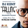 Falling (featuring Malehloka Hlalele) - Single