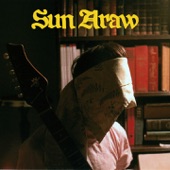 Sun Araw - Hive Burner