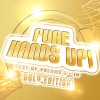 Mental Madness pres. Pure Hands Up! Gold Edition (Das Beste aus 10 Volumes)