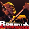 Robert Jr. Lockwood - Steady Rollin' Man