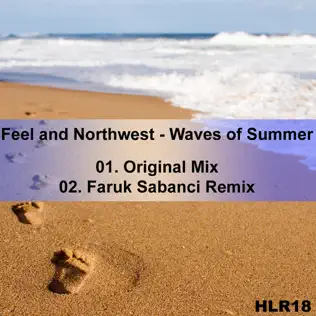 descargar álbum Feel And Northwest - Waves Of Summer