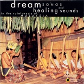 Dream Songs and Healing Sounds in the Rainforests of Malaysia artwork