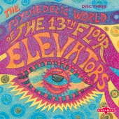 The Psychedelic World of the 13th Floor Elevators, Vol. 3