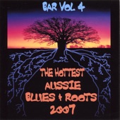 The Hottest Aussie Blues and Roots 2007 artwork