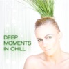 Deep Moments In Chill, 2009