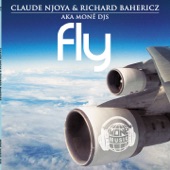 Fly (Club Mix) artwork