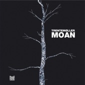 Moan (Radio Slave's Acapella Breakdown Version 1) [Bonus] artwork