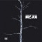 Moan (Vocal Version) [Featuring Ane Trolle] artwork
