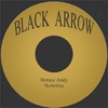 Horace Andy - Skylarking