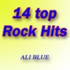 14 Top Rock Hits