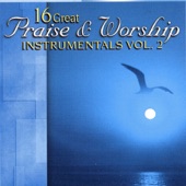 16 Great Praise & Worship Instrumentals, Vol. 2 artwork