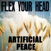 Flex Your Head artwork