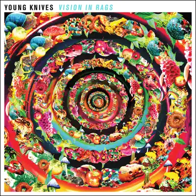Vision in Rags - Single - Young Knives