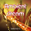Ambient Dream, Vol. 3