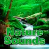 Nature Sounds album lyrics, reviews, download