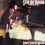 Stevie Ray Vaughan & Double Trouble - Come On part iii