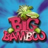 Big Bamboo - Single