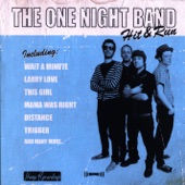 The One Night Band - Larry Love