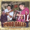 Puro Gallo