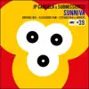 Stream & download Sunniva (Remixes) - Single