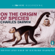 Charles Darwin - On the Origin of Species (Abridged Nonfiction)