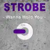 Stream & download Wanna Hold You (Jerome Isma-ae Remix)