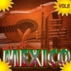 Hits Of Mexico Vol 3