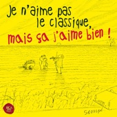 Je n'aime pas le classique mais ça j'aime bien ! artwork