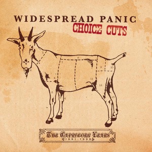 Choice Cuts - The Capricorn Years, 1991-1999