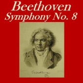 Symphony No. 8 In F Major, Op.93: I. Allegro Vivace e Con Brio artwork