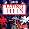 Amazing Latino Hits, Vol. 1