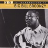 An Introduction to Big Bill Broonzy