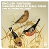Nicholas Cleobury, Royal Philharmonic Orchestra & Julian Lloyd Webber - Fantasia on Greensleeves