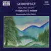 Godowsky: Piano Sonata in E Minor album lyrics, reviews, download