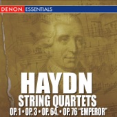 String Quartet In B Minor, Op. 64, No. 2, Hob. III:68: II. Adagio Ma Non Troppo artwork