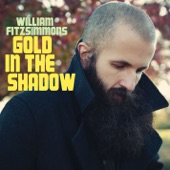 William Fitzsimmons - Wounded Head