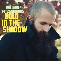 Gold In the Shadow (Bonus Version) - William Fitzsimmons