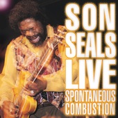 Son Seals - Crying for My Baby