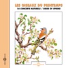 Les Oiseaux Du Printemps