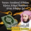 Saad El Ghamidi - Sourate Al Fath (La victoire éclatante)