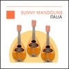 Sunny Mandolins - Italia - Italy