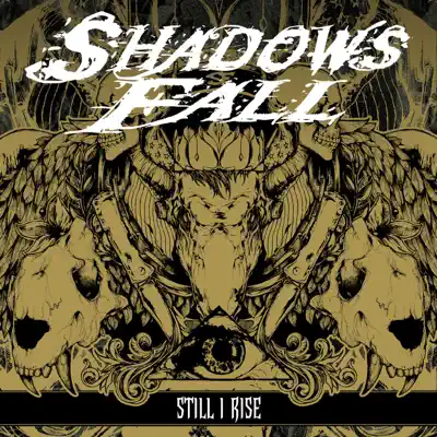 Still I Rise - Single - Shadows Fall