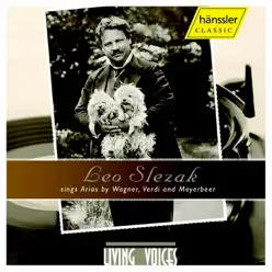 Slezak, Leo: Opera Arias - Studio Orchestra Slezak, Leo: Opera Arias - Studio Orchestra