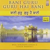 Bani Guru Guru Hai Bani artwork