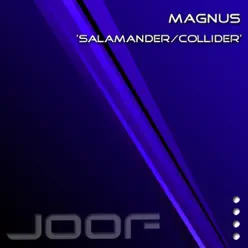 Salamander - Single - Magnus Salamander - Single - Magnus