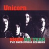 Unicorn - Rainy Season